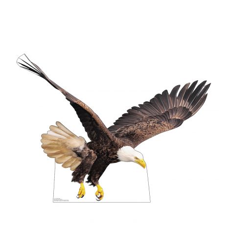  Flying Bald Eagle Life-size Cardboard Cutout #5211