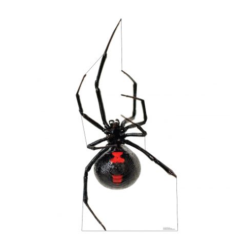  Giant Black Widow Spider Life-size Cardboard Cutout #5213