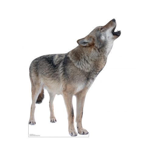  Howling Wolf Life-size Cardboard Cutout #5225