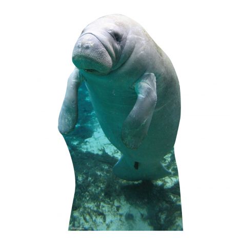  Manatees Life-size Cardboard Cutout #5231