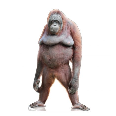  Orangutan Life-size Cardboard Cutout #5235