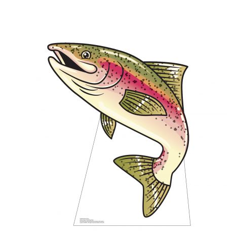  Rainbow Trout Life-size Cardboard Cutout #5238