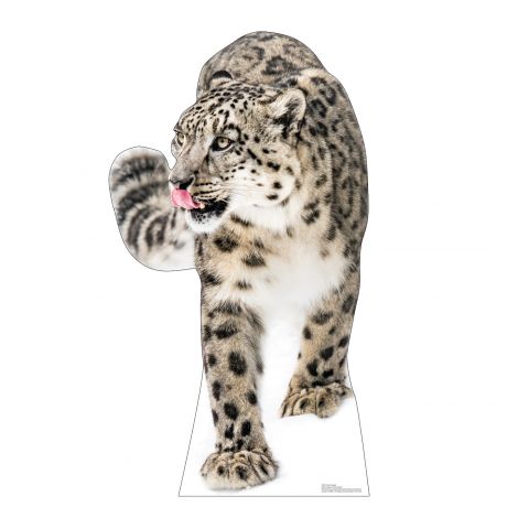  Snow Leopard Life-size Cardboard Cutout #5255