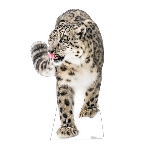 Snow Leopard Life-size Cardboard Cutout #5255