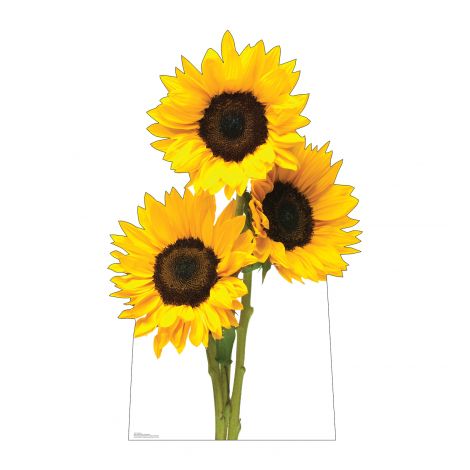  Sunflowers Life-size Cardboard Cutout #5261