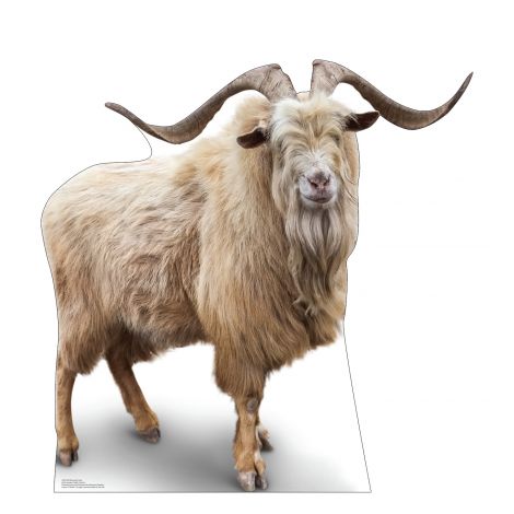  Wild Mountain Goat Life-size Cardboard Cutout #5265