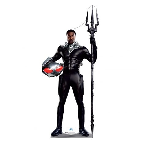  Black Manta Life-size Cardboard Cutout #5341
