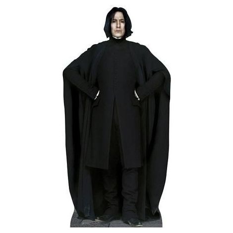 Professor Snape cutout #885