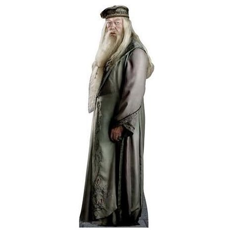  Professor Dumbledore #886