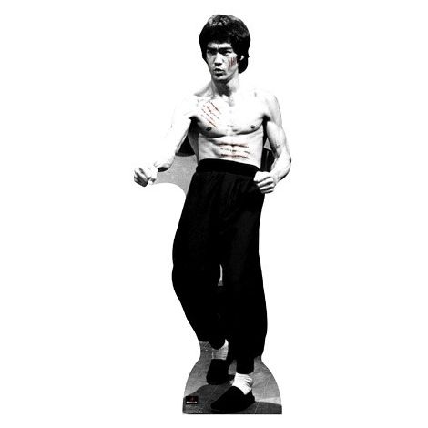  Bruce Lee #1042 standup