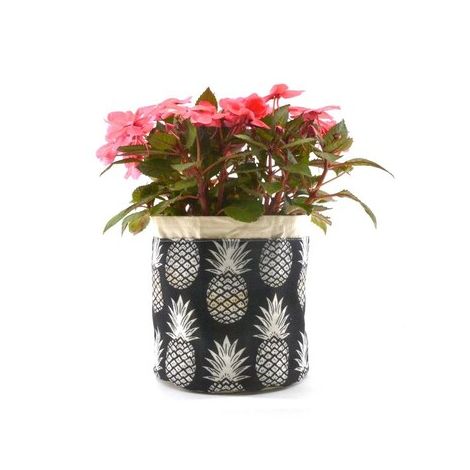  Plant Pouch Black and White Pineapples 