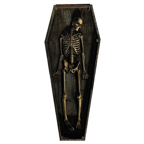  Skeleton Casket Standup #1165