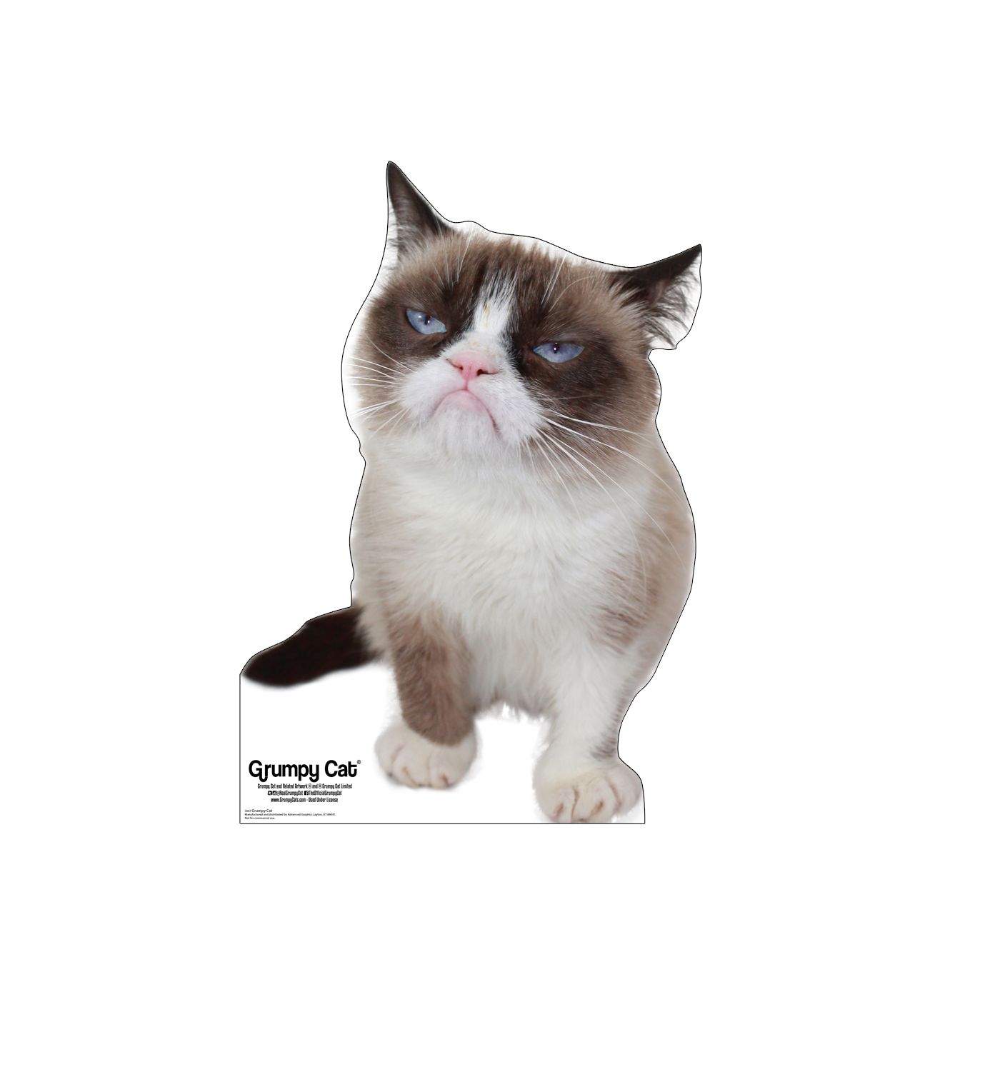 Grumpy Cat Cardboard Cutout 3047