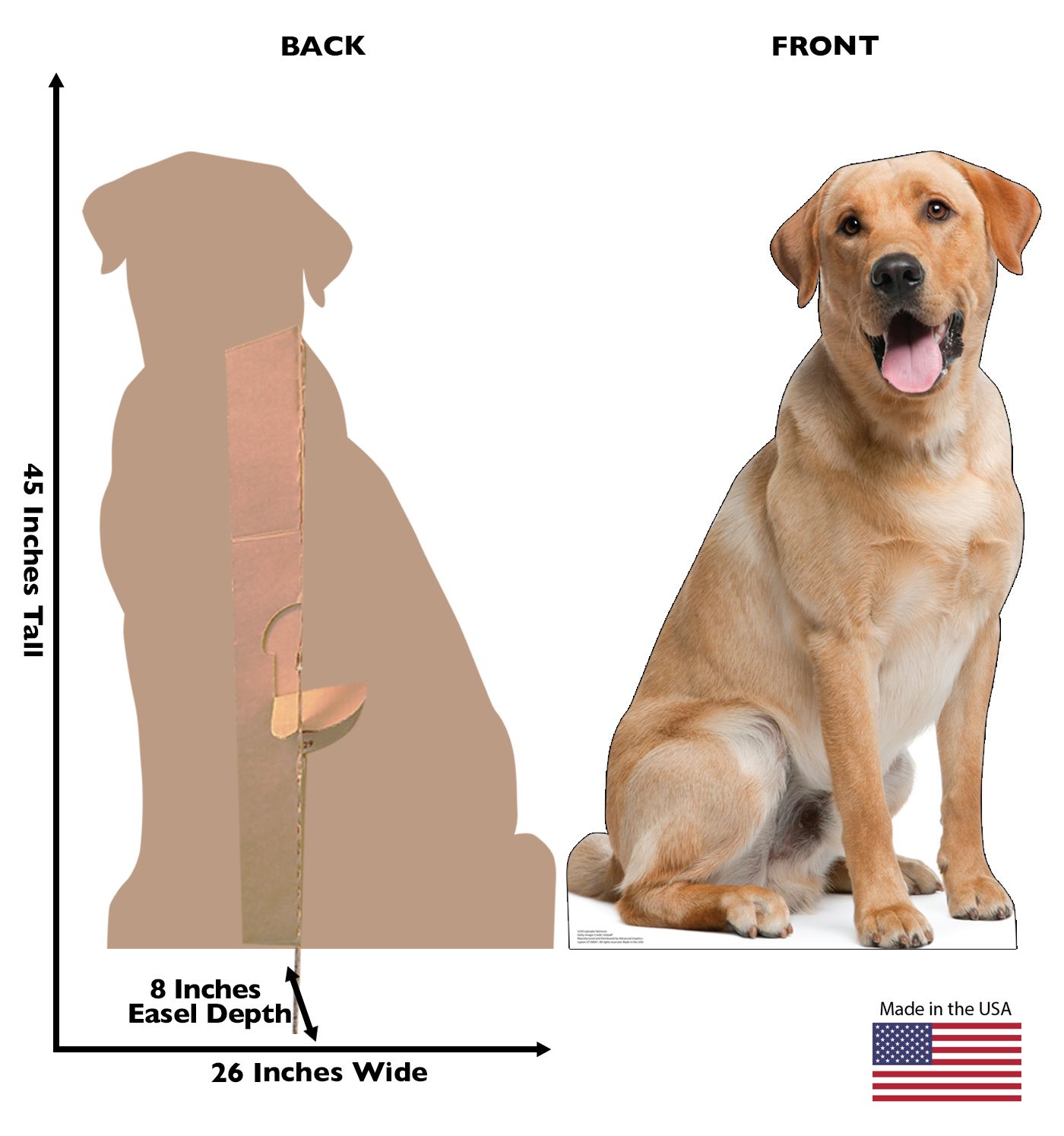 Labrador Retriever Life size Cardboard Cutout 5230